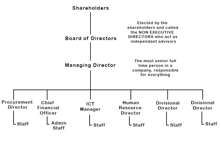 When a company gets very large, then in order to attract the right people the title of director is used more commonly. It is then the word used before director which establishes their role in the company